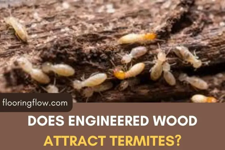 Does Engineered Wood Attract Termites?