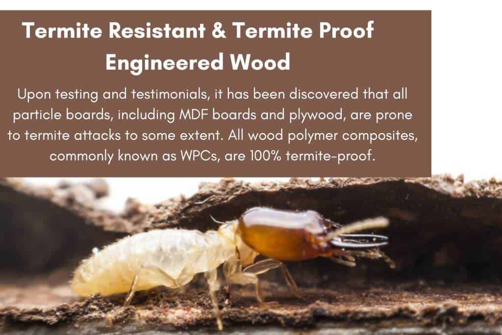 Termite Resistant & Termite Proof Engineered Wood