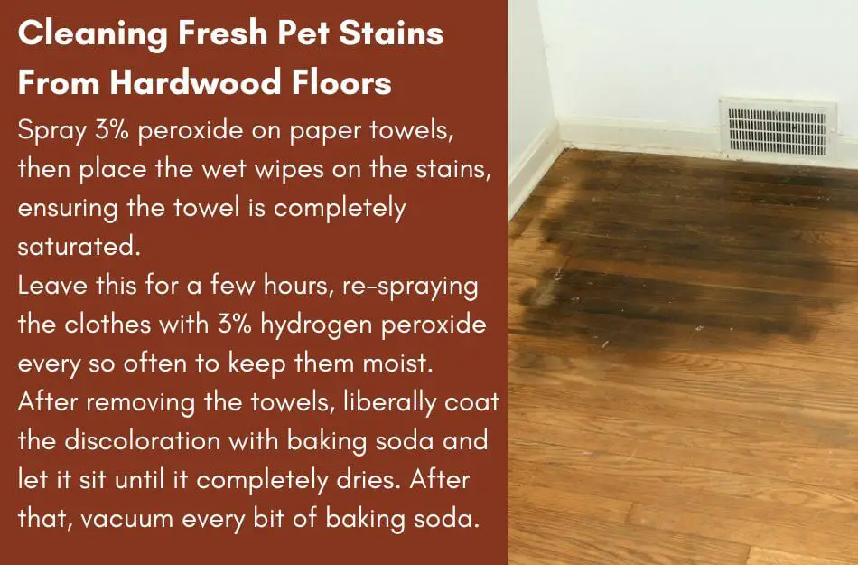 Cleaning Fresh Pet Stains From Hardwood Floors