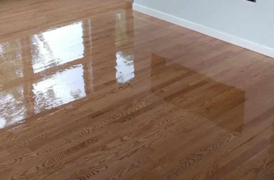 Cleaning sealed hardwood floors