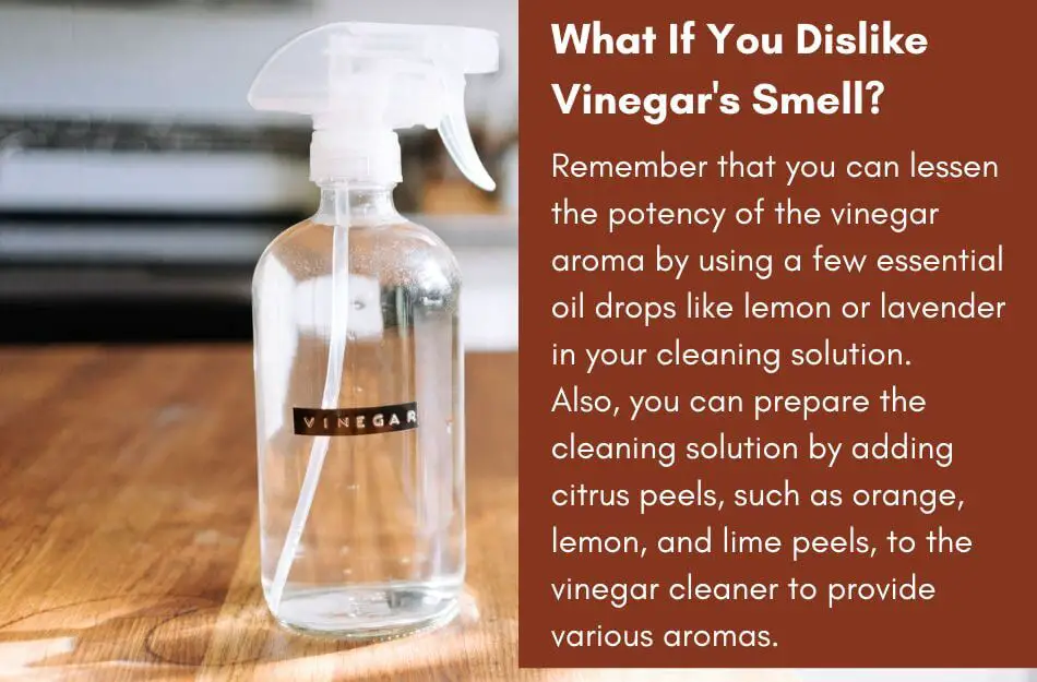 What If You Dislike Vinegar's Smell?