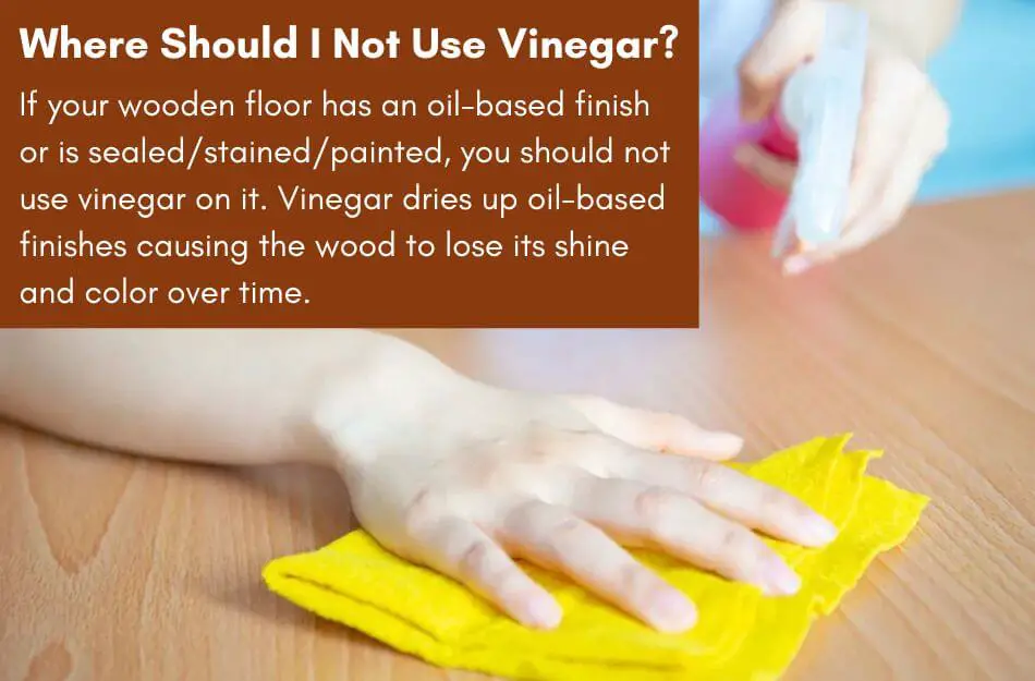 Where Should I Not Use Vinegar?