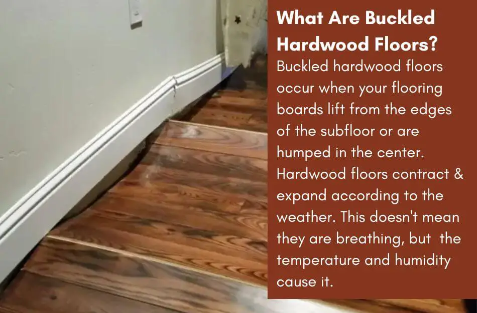 What Are Buckled Hardwood Floors?