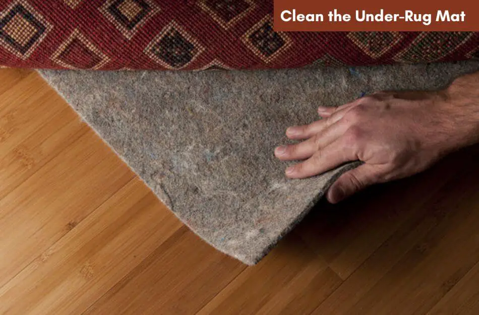 Clean the Under Rug Mat
