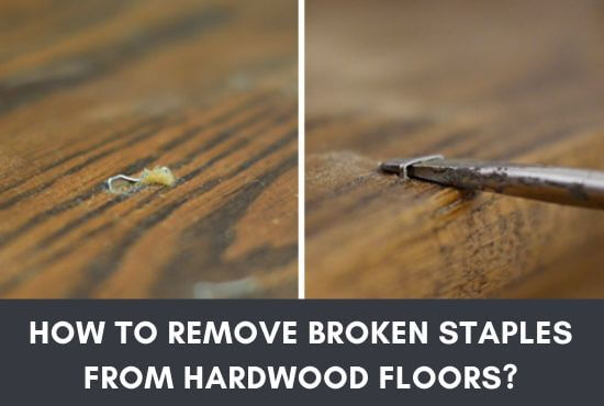 How To Remove Broken Staples From Hardwood Floors