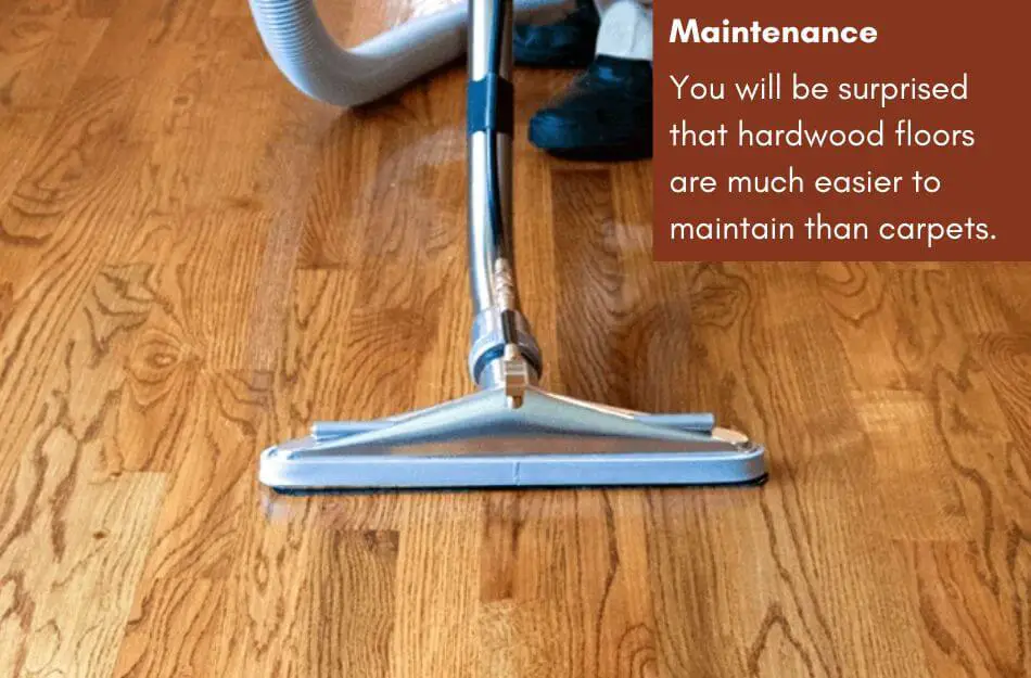 Maintenance: Hardwood Floor vs Carpet