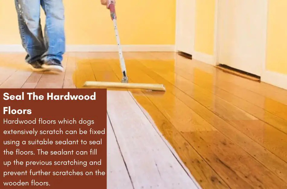 Seal The Hardwood Floors