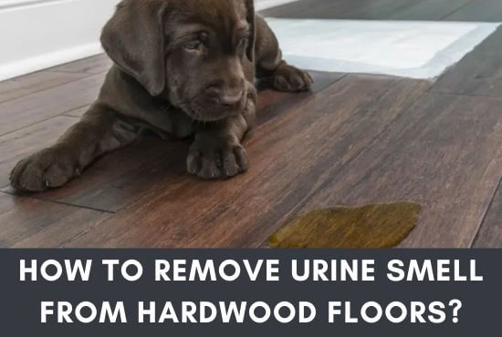 How To Remove Urine Smell From Hardwood Floors
