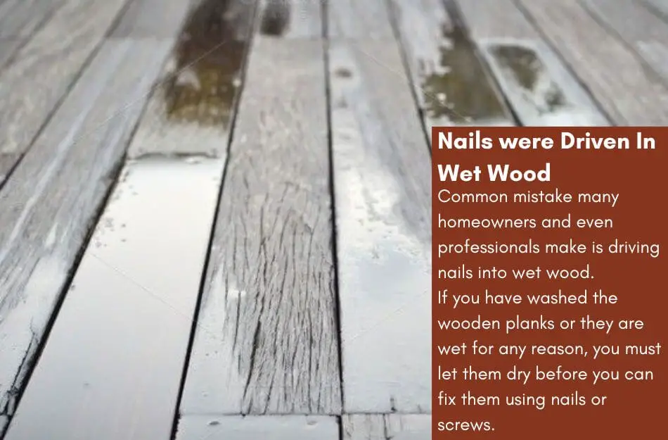Nails were Driven In Wet Wood