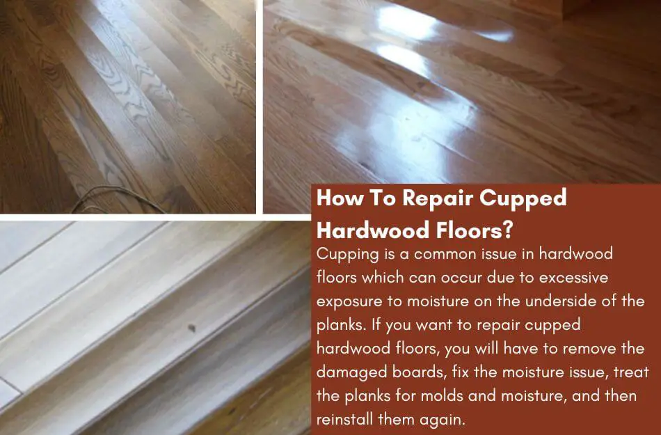 Repair Cupped Hardwood Floors
