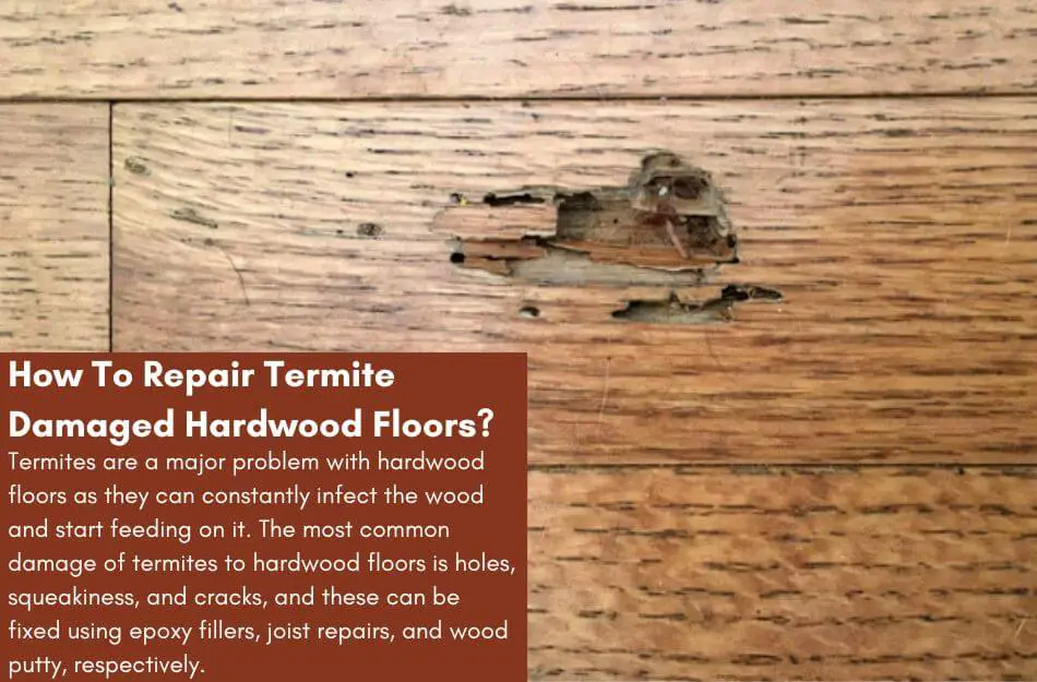 Repair Termite Damaged Hardwood Floors