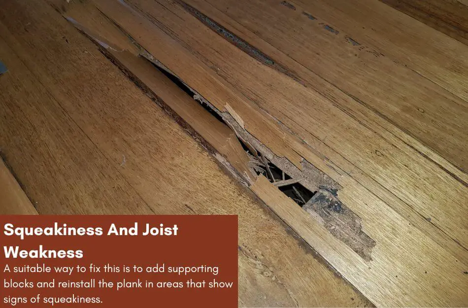 Squeakiness And Joist Weakness