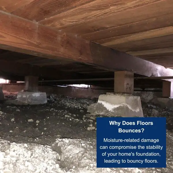 Moisture related damage in crawl space