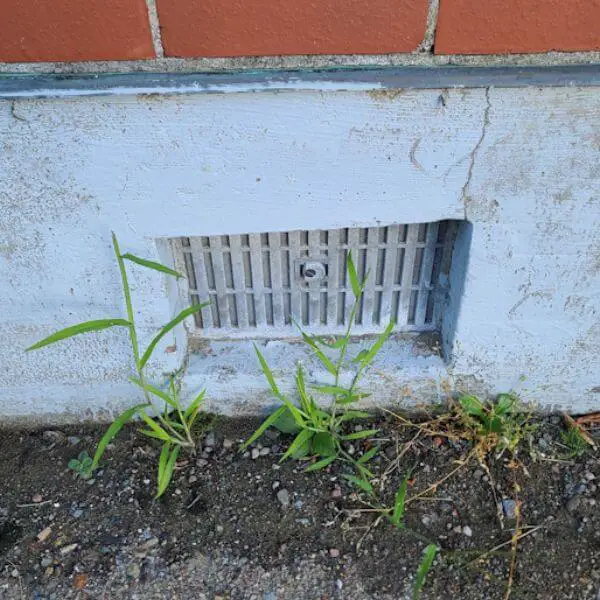 keep your crawl space vents closed and sealed off