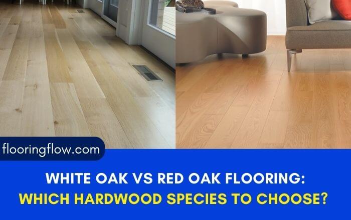 White Oak Vs Red Oak Flooring: Hardwood Species Comparison