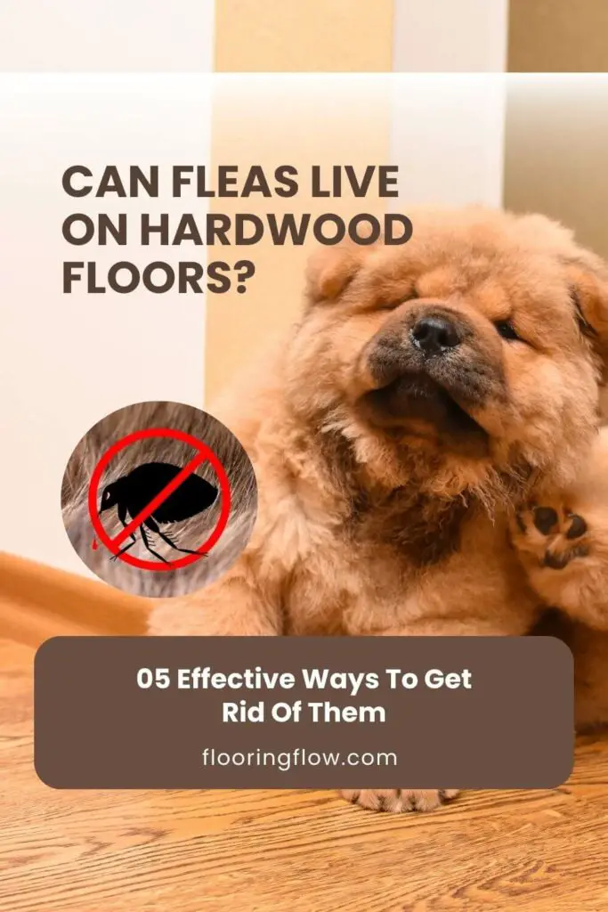 How to get rid of fleas on hardwood floors?