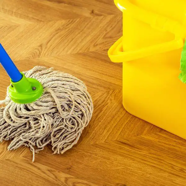 Using Dish detergent and club soda to remove cat pee smell and stain from hardwood floors