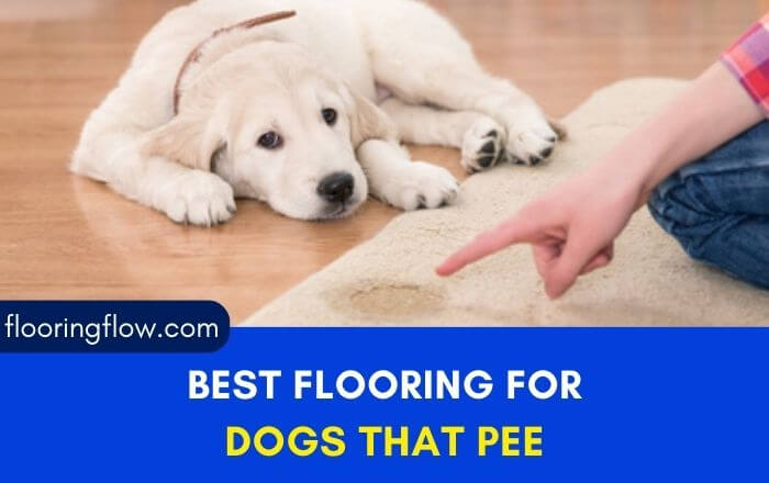 Best Flooring For Dogs That Pee