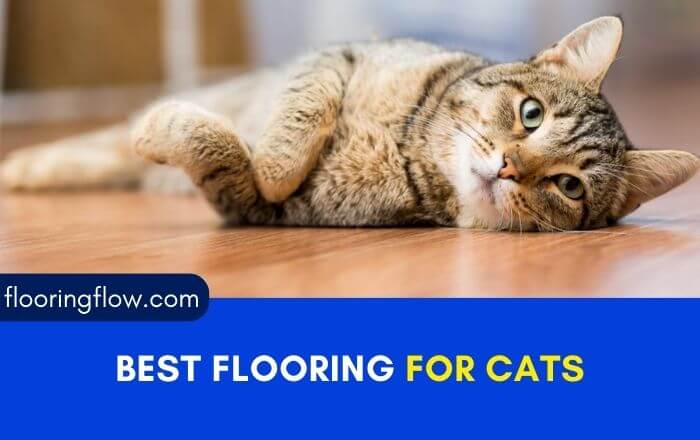 Best flooring for cats