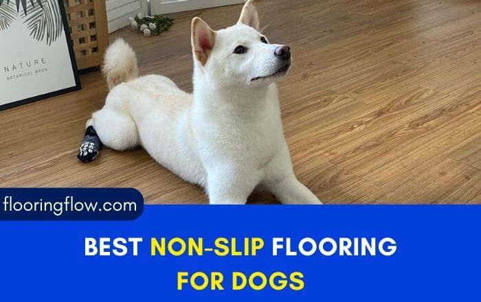 Best Non Slip Flooring For Dogs