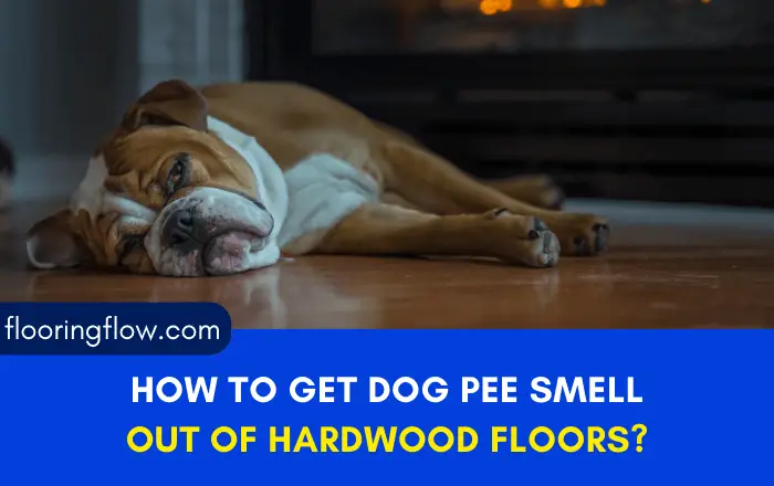 How To Get Dog Pee Smell Out Of Hardwood Floors?