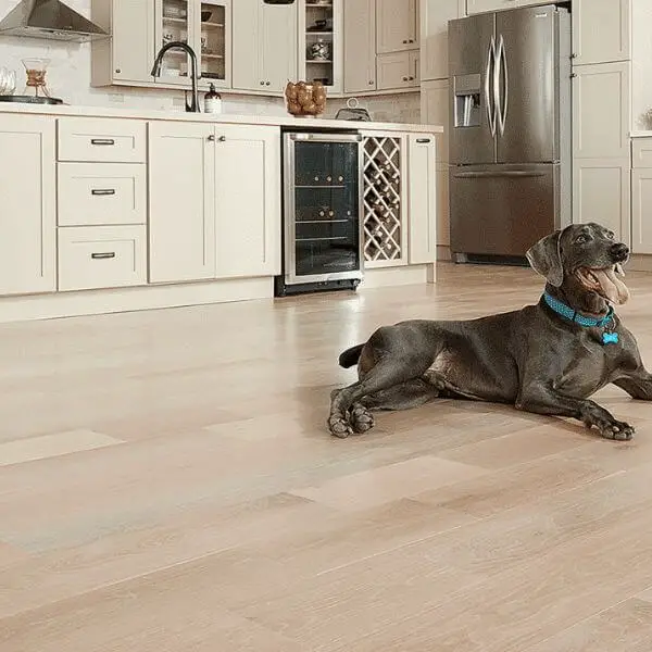 Laminate Floors: Scratch Resistance with Style