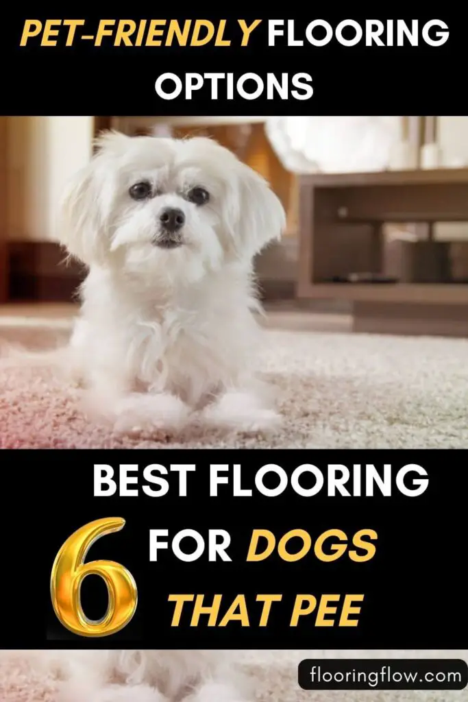 pet-friendly flooring options for dogs