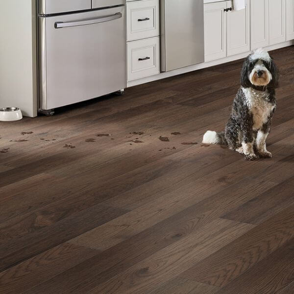 Cork wood Flooring For Dogs