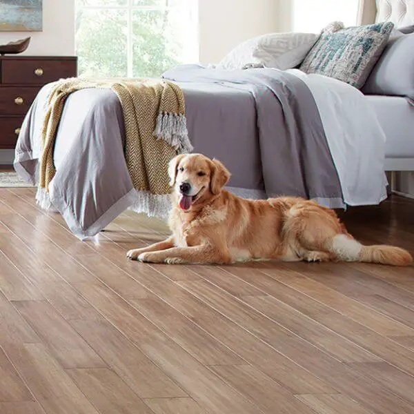 High-Density Hardwood Flooring for dogs