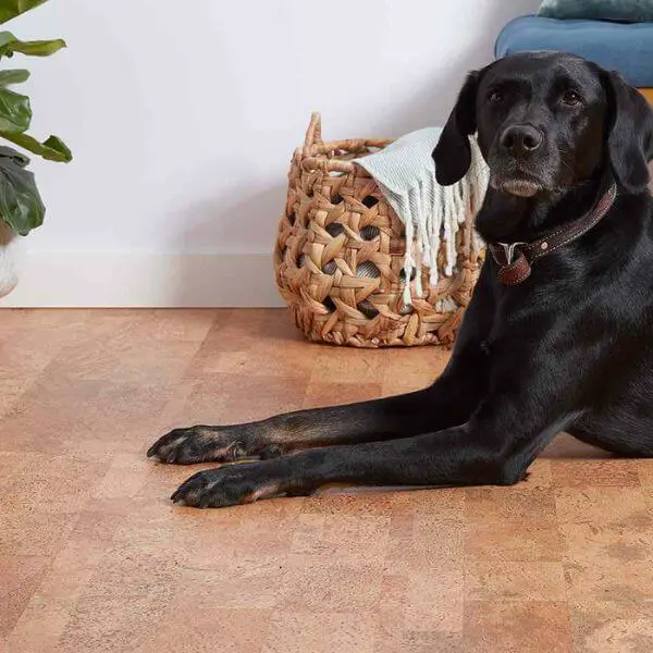 Oak wood Flooring For Dogs