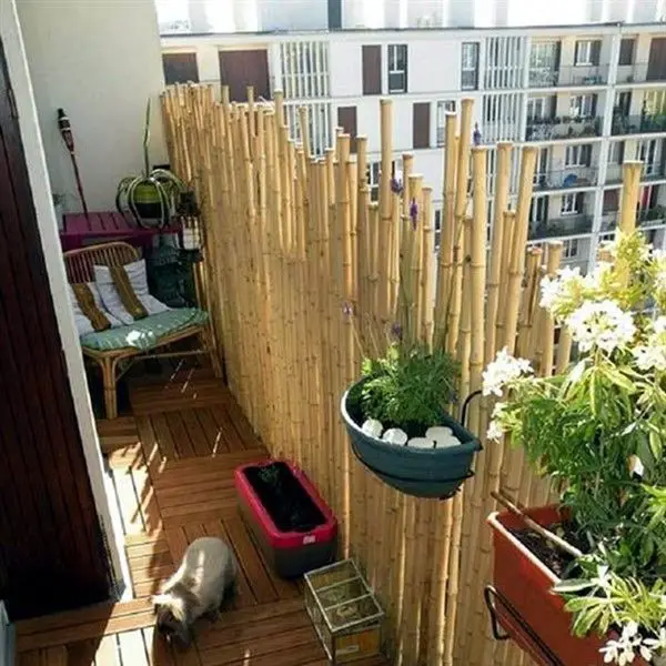 Create Privacy with Bamboo Screens