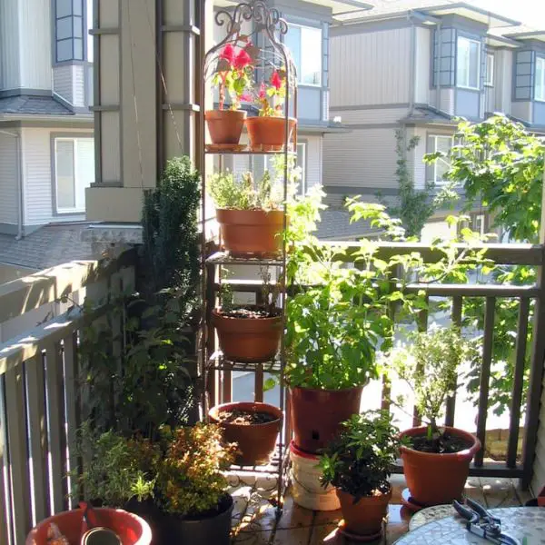 DIY a Vertical Herb Garden