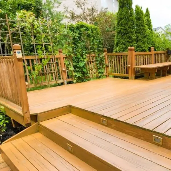 Embrace Nature with a Golden Cedar Stain