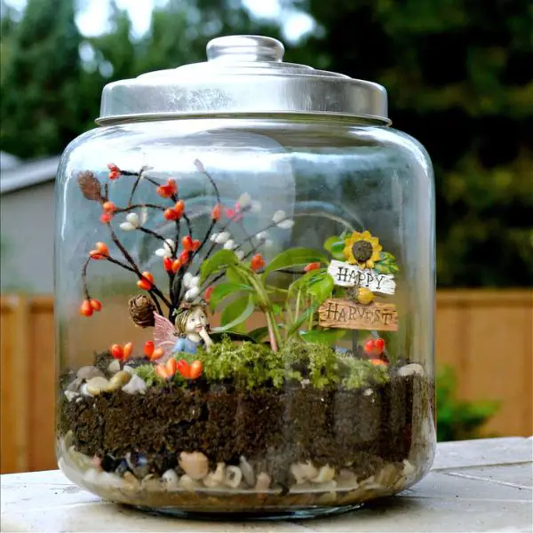 Fairy Jar Terrariums