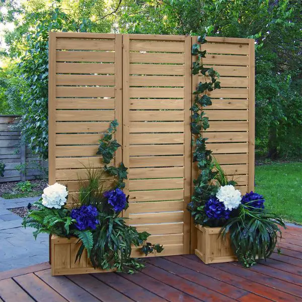 Fashion a Privacy Screen with Climbing Plants