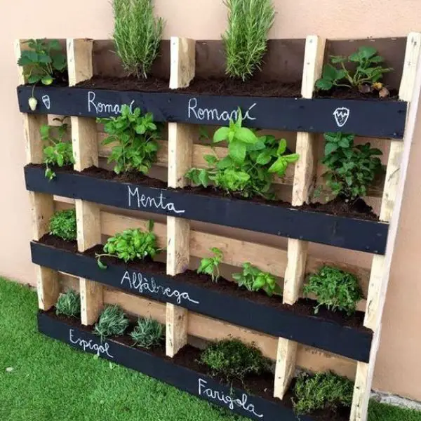 Go Green with a Vertical Herb Garden