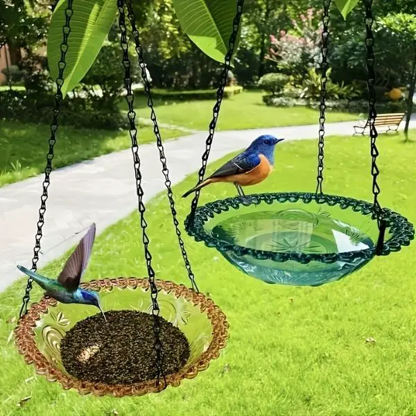 Hang a Bird Feeder or Bird Bath