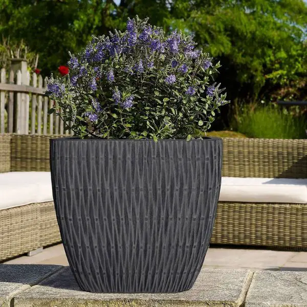 Opt for Oversized Planters