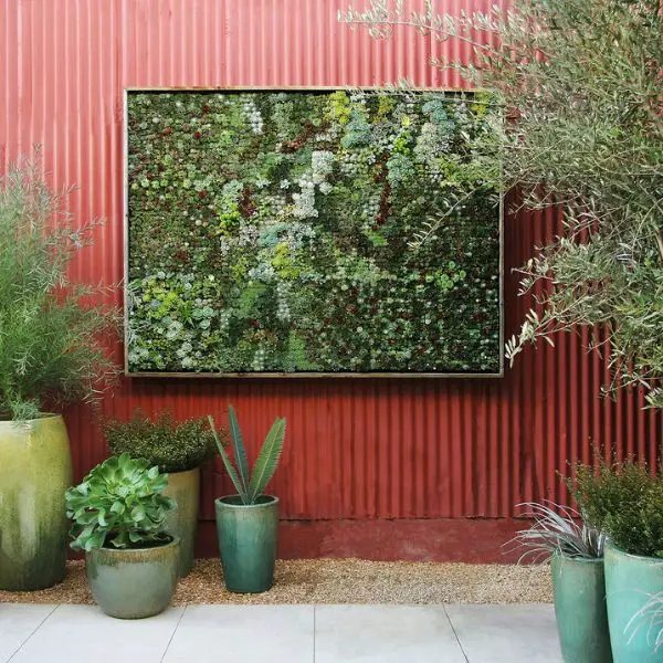 Plant a Succulent Wall