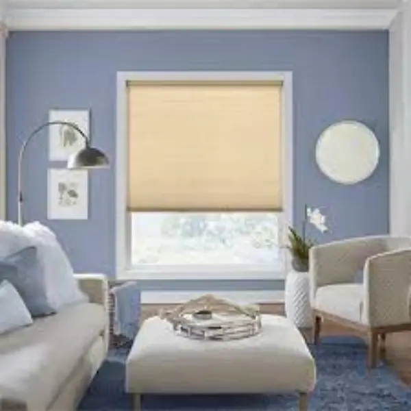 Update Window Treatments to Maximize Light