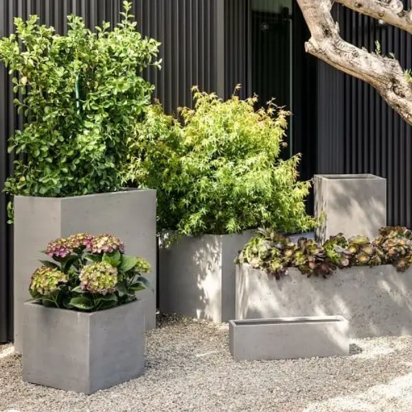 Use Decorative Metal Pails as Planters