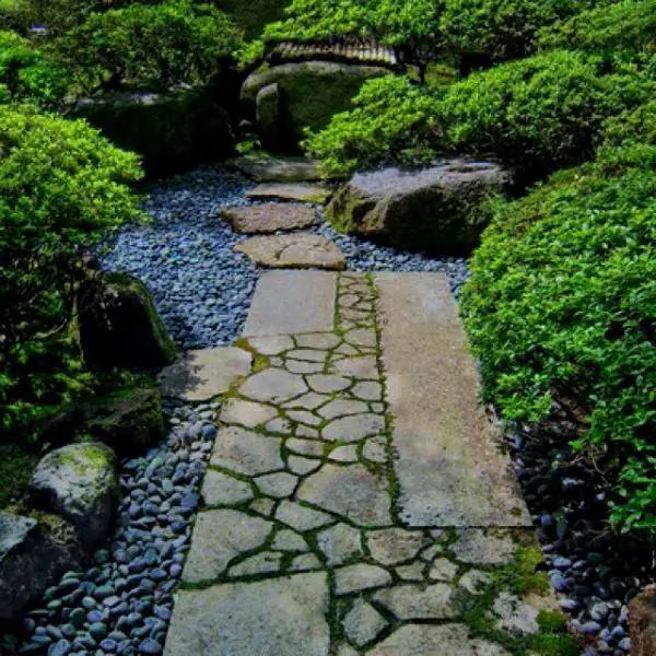 Whimsical Garden Paths