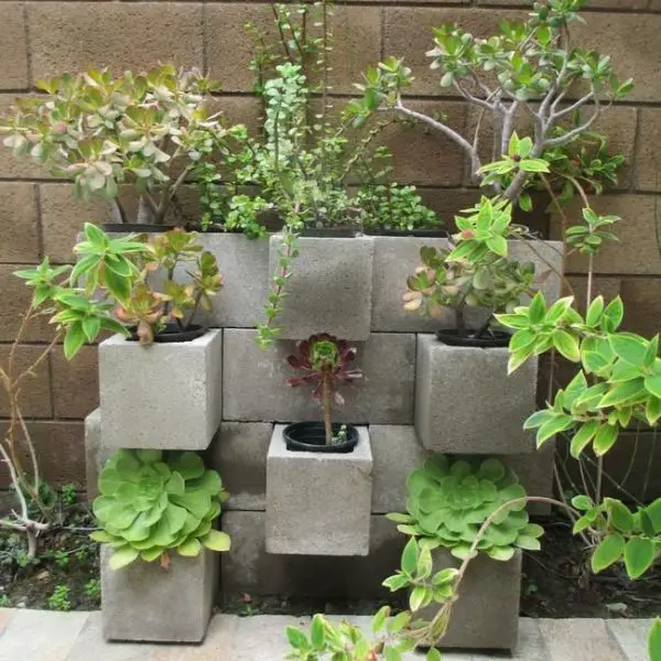 Contemporary Plant Holder Wall