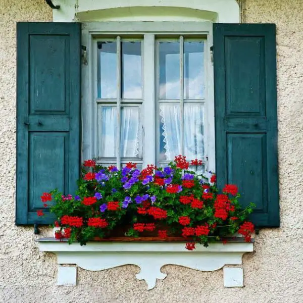 Decorative Shutter Window Box