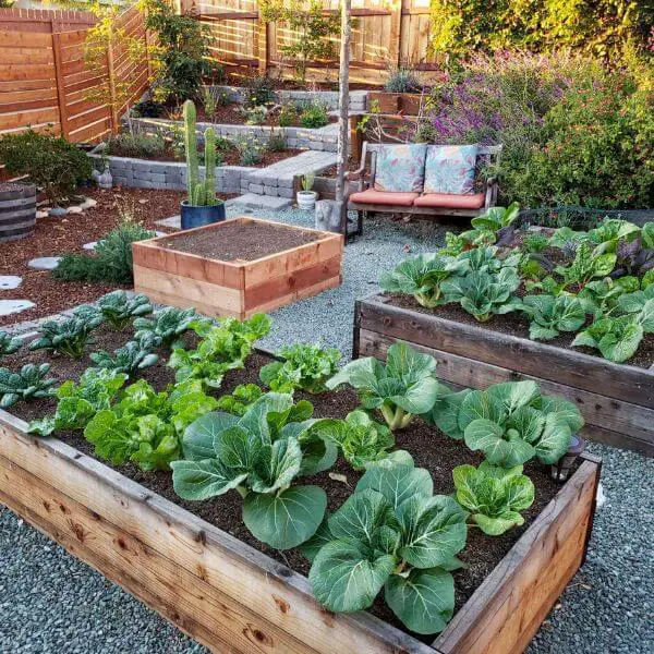  Edible Garden with Terraced Vegetable Beds