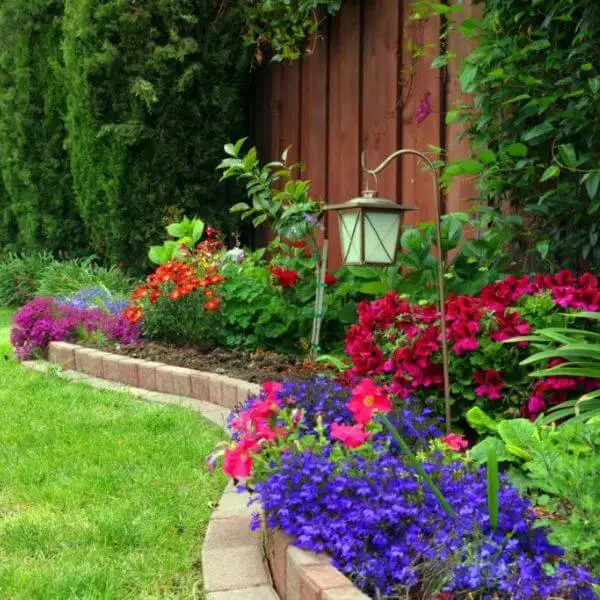 Flower Beds with Perennials for Color