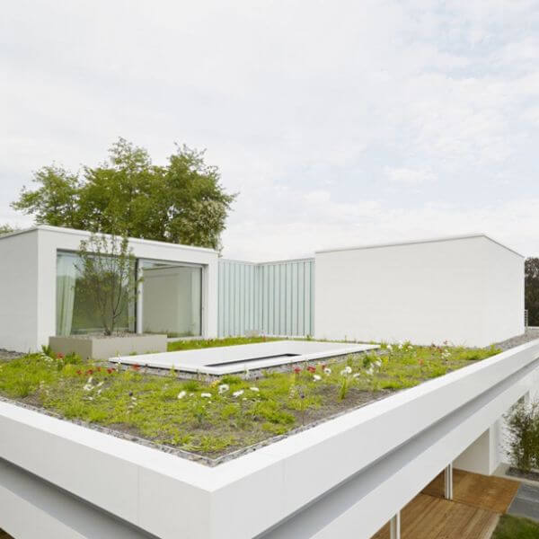 Green Roofs for Eco-Friendly Living