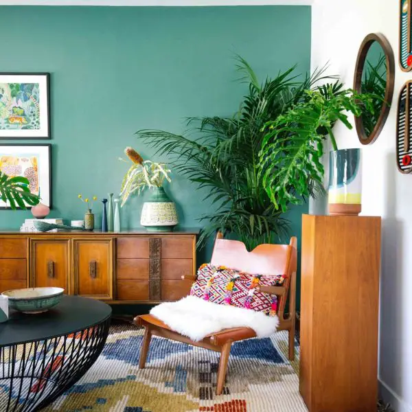Introduce Greenery with Indoor Plants