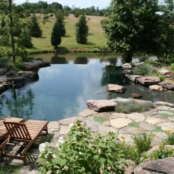 Opt for a Natural Pond-Like Pool