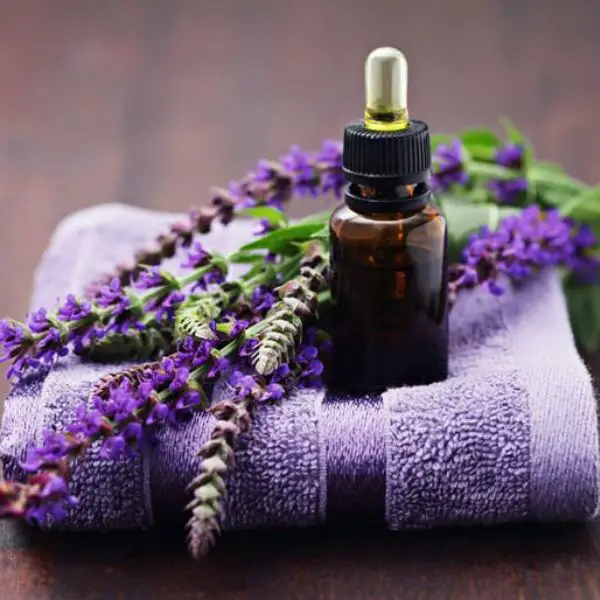 Plant Therapy Lavender Essential Oil_ Soothing Sleep